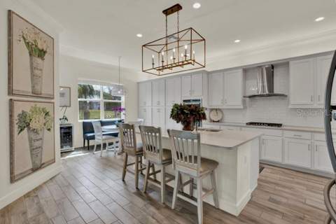 4923 Pamplona Court, Wimauma FL - photo 10 of 53