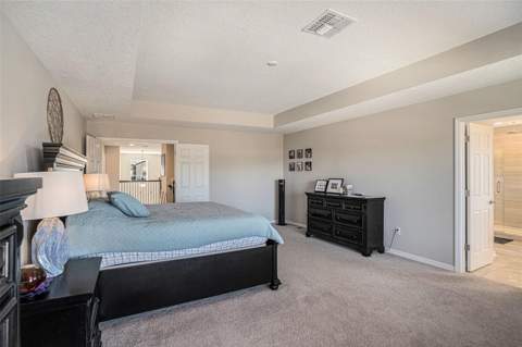 13362 Sage Hollow Avenue, Riverview FL - photo 19 of 36