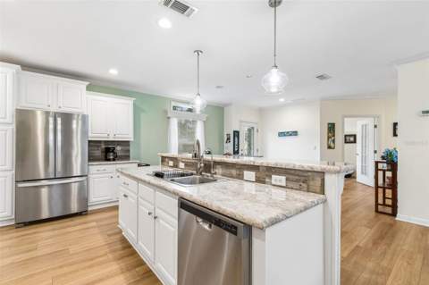 9003 Scott Wilson Lane, Odessa FL - photo 11 of 63