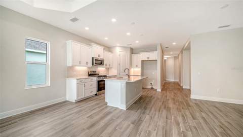 4408 Spoon Blade Drive, Parrish FL - photo 13 of 41