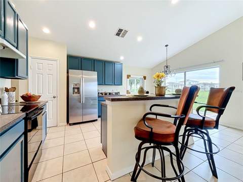 1406 Vista Del Lago Boulevard, Dundee FL - photo 11 of 63