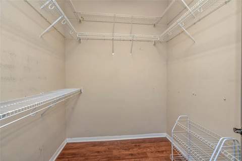 6122 Regina Place, Land O Lakes FL - photo 8 of 34