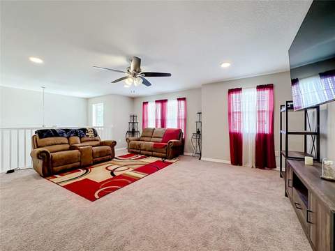 4923 Eagle Rock Drive, Wimauma FL - photo 20 of 44