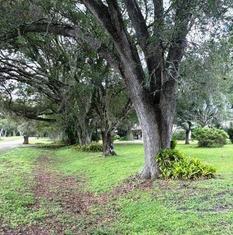 2028 SE Reuben Avenue, Arcadia FL - photo 6 of 10