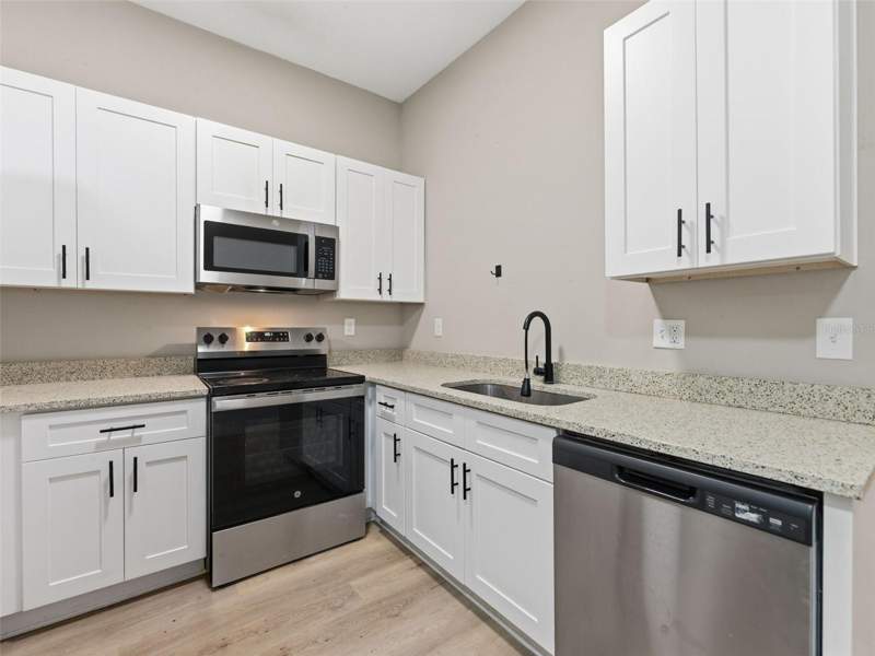 5 bedroom Single Family Residence at 1740 W Cherry Street, El Cerro, Tampa — photo 4
