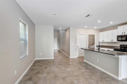 10256 Carloway Hills Drive, Wimauma FL - photo 9 of 29