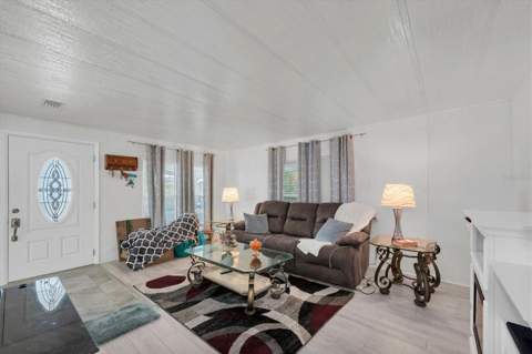 347 Canal Way, Oldsmar FL - photo 6 of 48