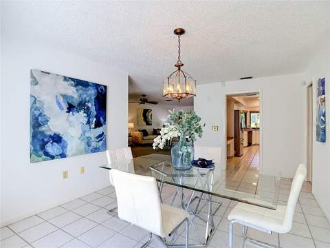 4324 Southpark Drive, Tampa FL - photo 8 of 52