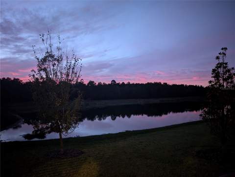 5619 Summit View Drive, Brooksville FL - photo 18 of 20