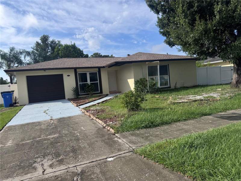 Carrollwood Meadows