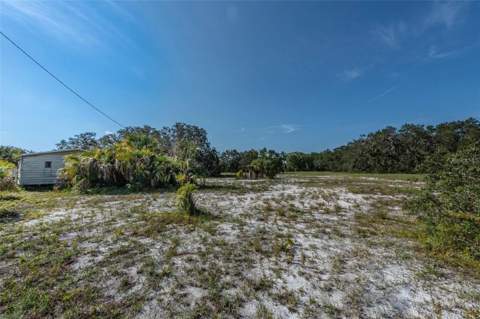 12154 Bullfrog Creek Road, Gibsonton FL - photo 6 of 23