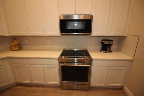 9449 Sanders Park Place, Seffner FL - photo 12 of 26