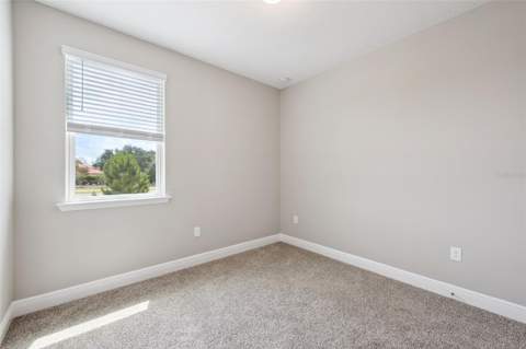 12253 S Bracco Street, Winter Garden FL - photo 19 of 29