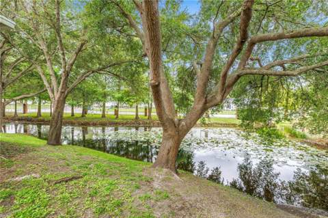 2982 Estancia Place, Clearwater FL - photo 6 of 6