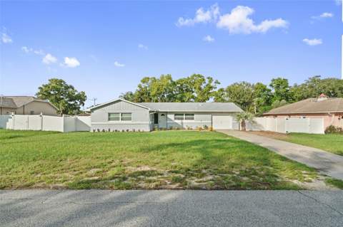 265 Plumtree Avenue, Spring Hill FL - photo 6 of 6