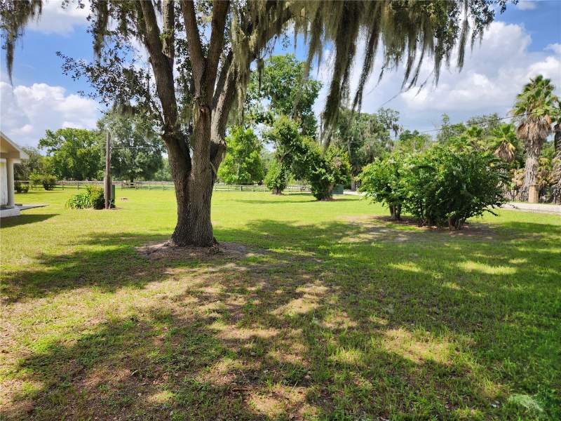 4 bedroom Single Family Residence at 3903 Powerline Road, Unplatted, Lithia — photo 4