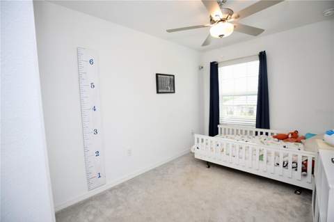 17620 Nectar Flume Drive, Land O Lakes FL - photo 21 of 58