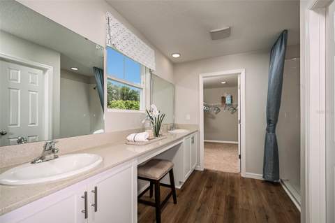 31731 Oyster Trellis Lane, Wesley Chapel FL - photo 6 of 24