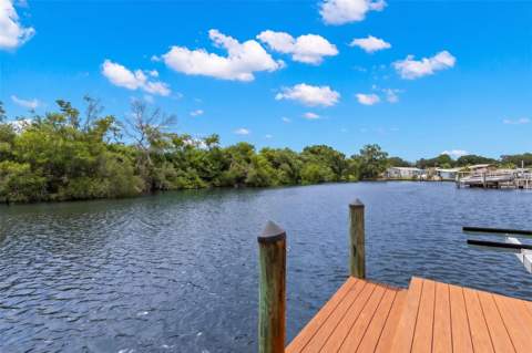 6825 Mount Orange Drive #390, St Petersburg FL - photo 20 of 76