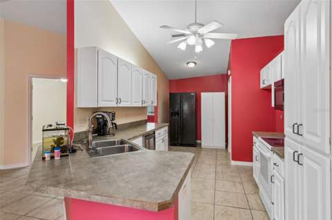 10752 Anna Belle Avenue, Leesburg FL - photo 7 of 25