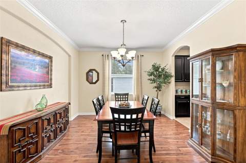 12335 Ballentrae Forest Drive, Riverview FL - photo 21 of 64
