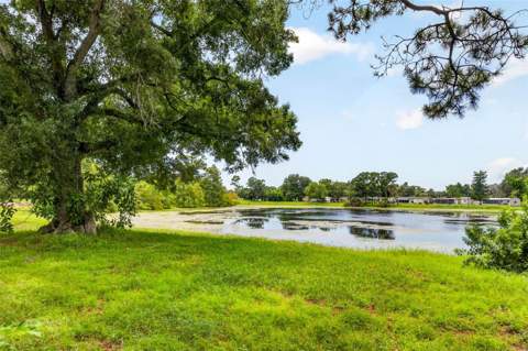 6320 66th Avenue, Pinellas Park FL - photo 11 of 60