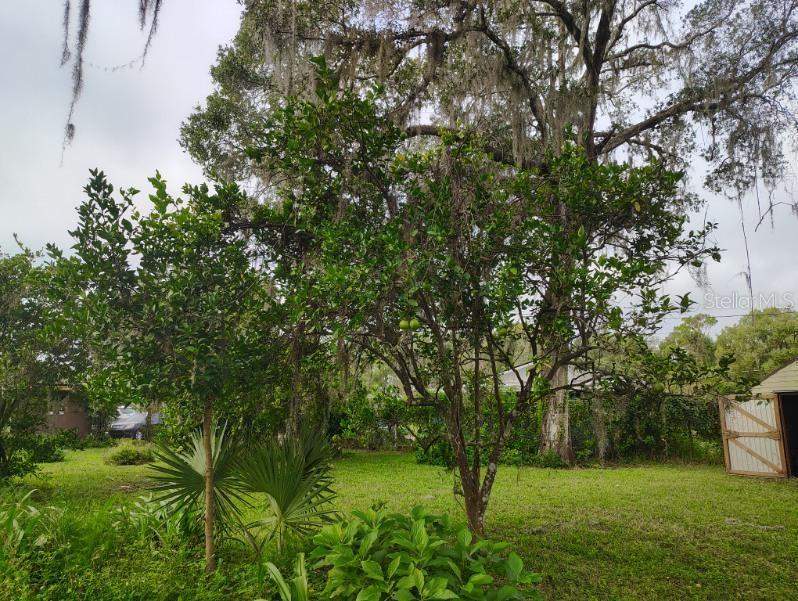 2 bedroom Single Family Residence at 20621 SE Highway 42, Big Tree Campsites Sec D, Umatilla — photo 3