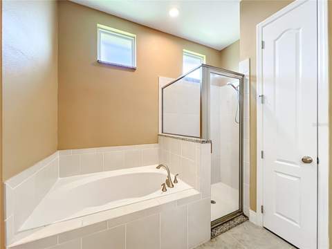 1315 Dusty Pine Drive, Apopka FL - photo 20 of 40