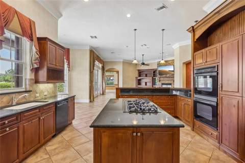 6102 S Hampshire Ct, Windermere FL - photo 14 of 53