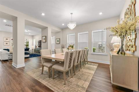 6048 Bimini Twist Loop, Orlando FL - photo 21 of 99