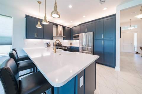 3290 Great Banyan Way, Wesley Chapel FL - photo 14 of 51