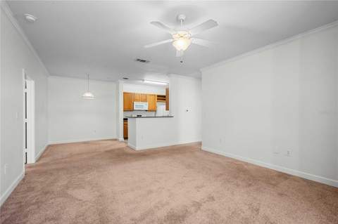 18525 Bridle Club Drive #18525, Tampa FL - photo 7 of 38