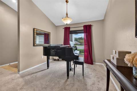 18301 Big Pond Way, Tampa FL - photo 9 of 40