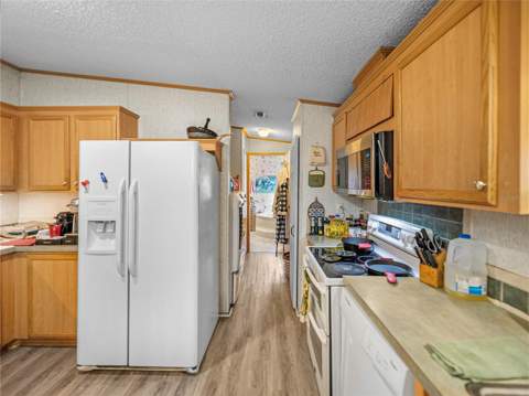 11404 Lithia Pinecrest Road, Lithia FL - photo 20 of 63