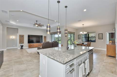 14269 Skipping Stone Loop, Parrish FL - photo 11 of 66