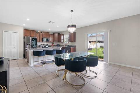 7420 Pearly Everlasting Avenue, Tampa FL - photo 14 of 48