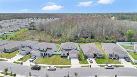 557 Pink Ibis Bend, St Cloud FL - photo 19 of 24