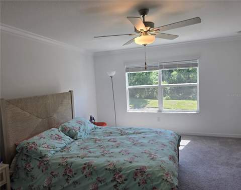 17522 Nectar Flume Drive, Land O Lakes FL - photo 8 of 13