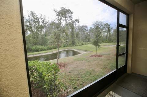 17620 Nectar Flume Drive, Land O Lakes FL - photo 18 of 58