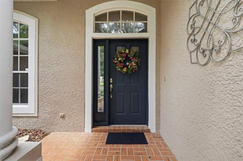 13756 Dowling Lane, Odessa FL - photo 6 of 93