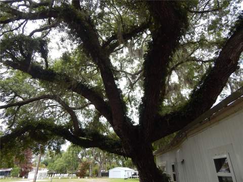 19 Anchor Inn Road, Lake Wales FL - photo 21 of 28