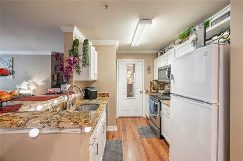 18439 Bridle Club Drive, Tampa FL - photo 7 of 26