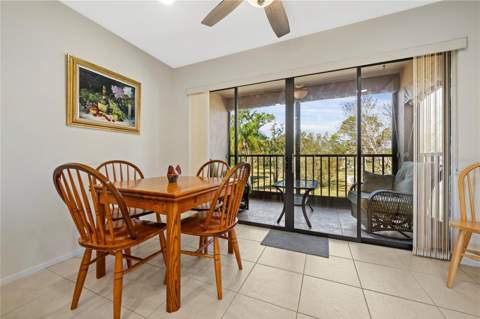 4910 Bay Street #311, St Petersburg FL - photo 18 of 48