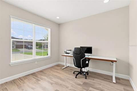 7697 Roma Dune Drive, Wesley Chapel FL - photo 13 of 64