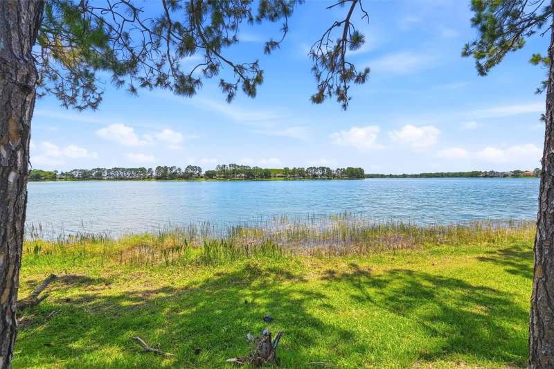 14620 CABLESHIRE WAY home for sale in Wyndham Lakes Estates
