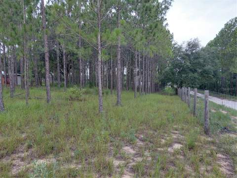 14240 Lost Lake Road, Clermont FL - photo 16 of 47