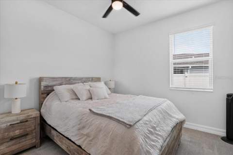 10971 Bluestem Cove, Parrish FL - photo 19 of 28