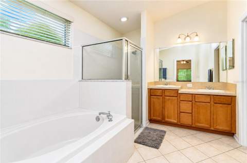 6209 Gannetdale Drive, Lithia FL - photo 15 of 38