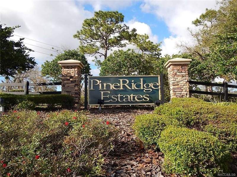 3 bedroom Single Family Residence at 4622 N Pink Poppy Drive, Pine Ridge Unit 01, Beverly Hills — photo 3
