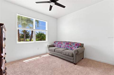 3916 Mossy Limb Court, Palmetto FL - photo 22 of 31